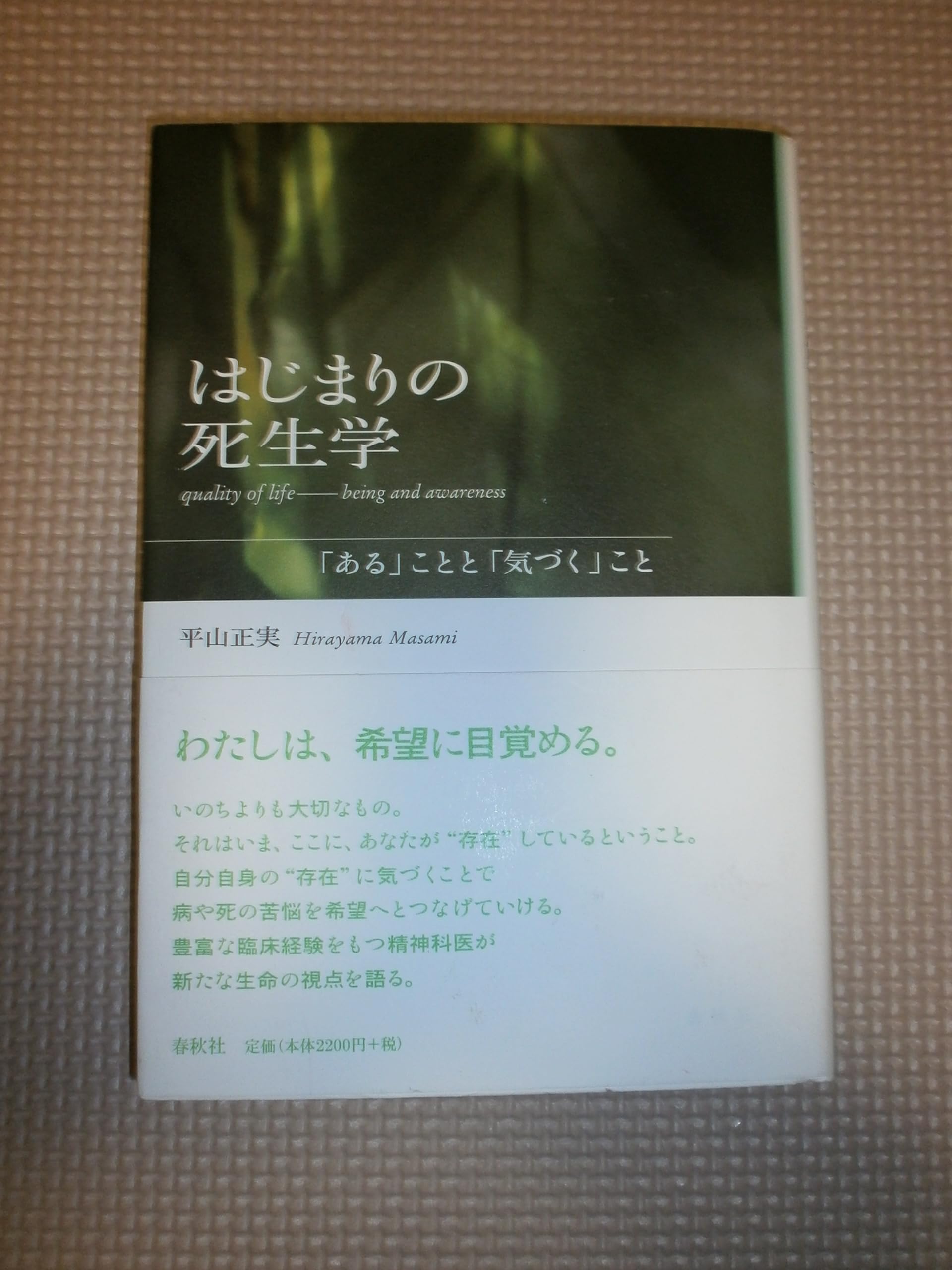 臨床現場からみた生と死の諸相 (臨床死生学研究叢書) [単行本] 平山 正実 臨床現場からみた生と死の諸相 (臨床死生学研究叢書 4) | 平山 正実